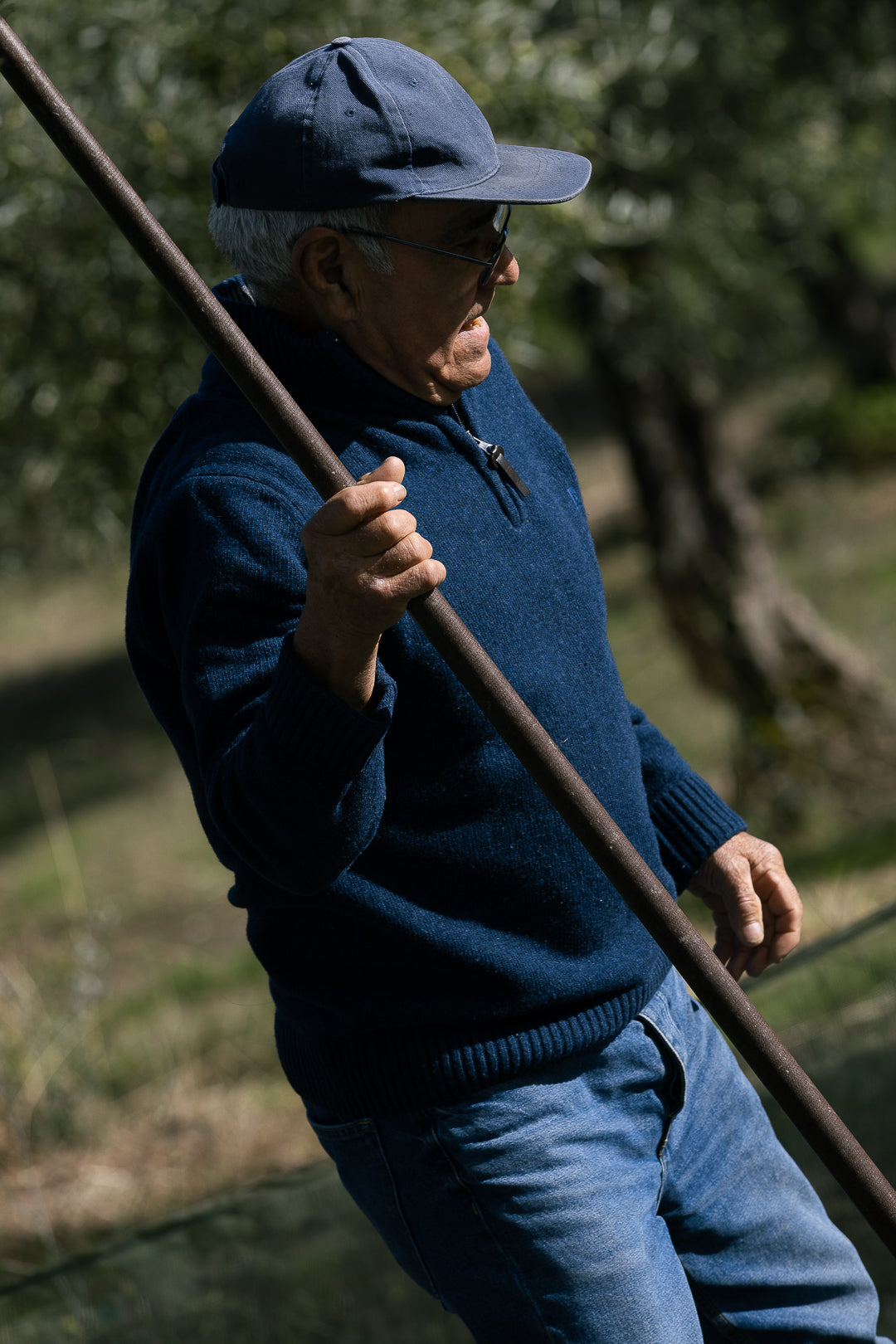 Huile d’olive portugaise Cantaria – récolte artisanale
