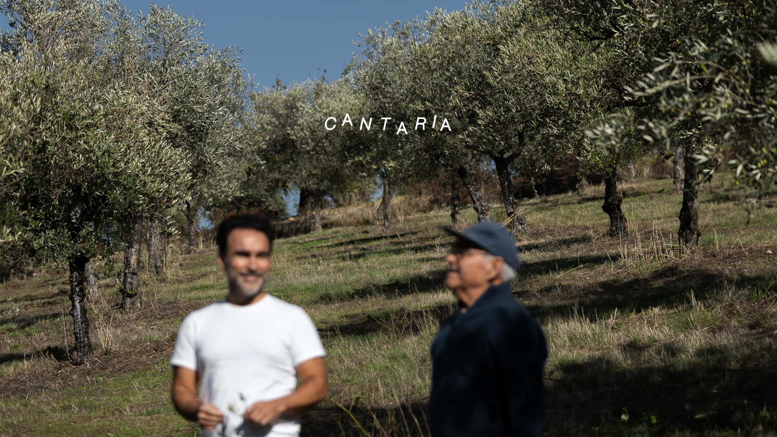 OLIVE OIL CLUBVERSER. RECHARGER. CONTINUER